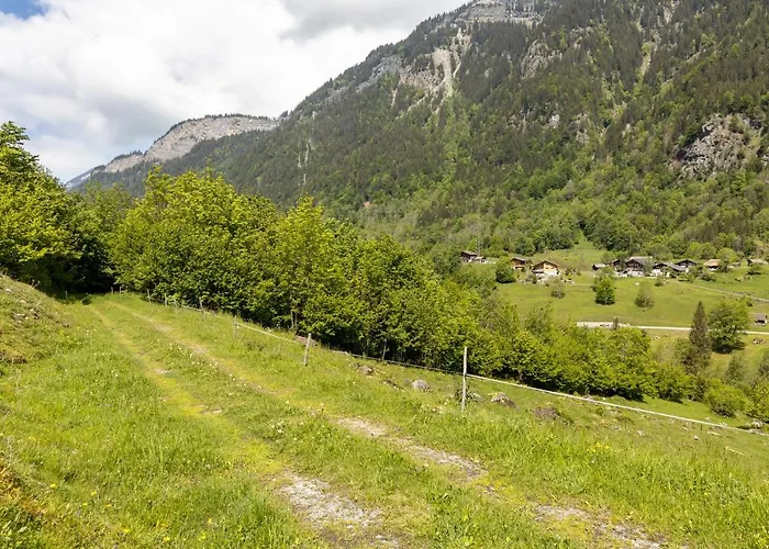 Triftblick