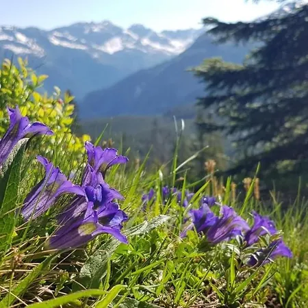 Triftblick 3* Gadmen