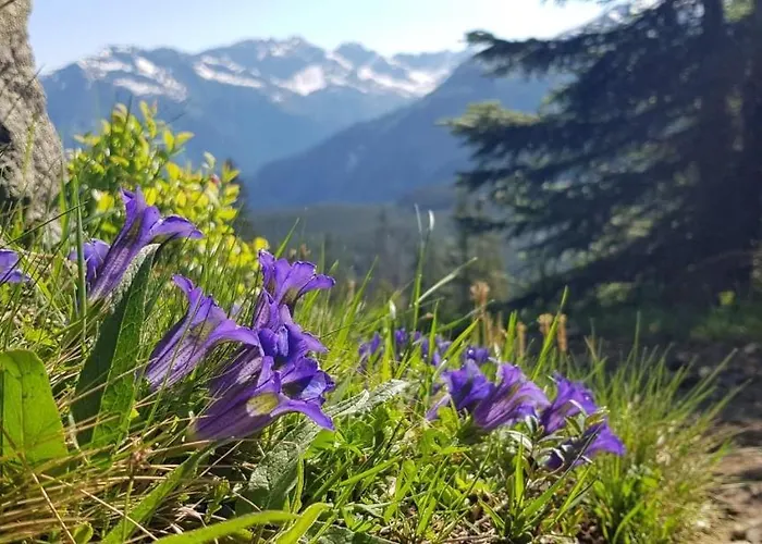 Triftblick 3* Gadmen